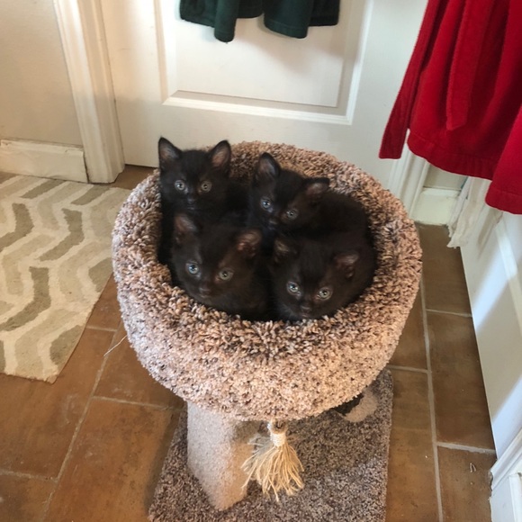 Meet your Posher, Mari - Picture 4 of 11